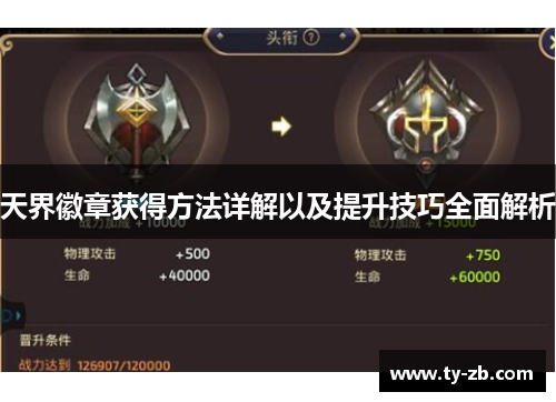 天界徽章获得方法详解以及提升技巧全面解析